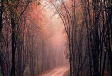 九游：“詹姆斯女儿温馨提醒：微笑船帆，妈妈请温柔些”.