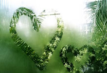 九游：上次客战灰熊仅得2分！科尔：库里肯定把这事记在心里了.