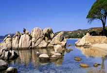 九游：官方：亚冬会奖牌变动更新 中国选手递补铜牌央视体育.